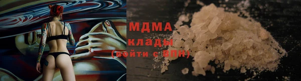 молекула духа Туринск